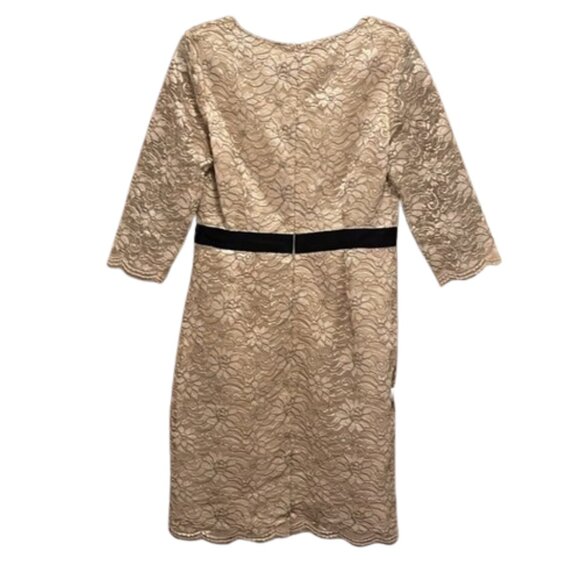 Banana Republic Champagne Metallic Lace Style Dress w Black Waistband Size 10 - Picture 7 of 10